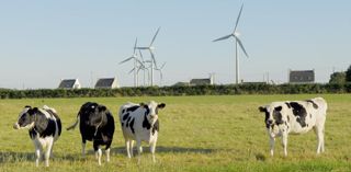 Un parc d’éoliennes proche d’une exploitation laitière, près de Plouguerneau (29). © Éric Bénard. Un parc d’éoliennes proche d’une exploitation laitière, près de Plouguerneau (29). © Éric Bénard.